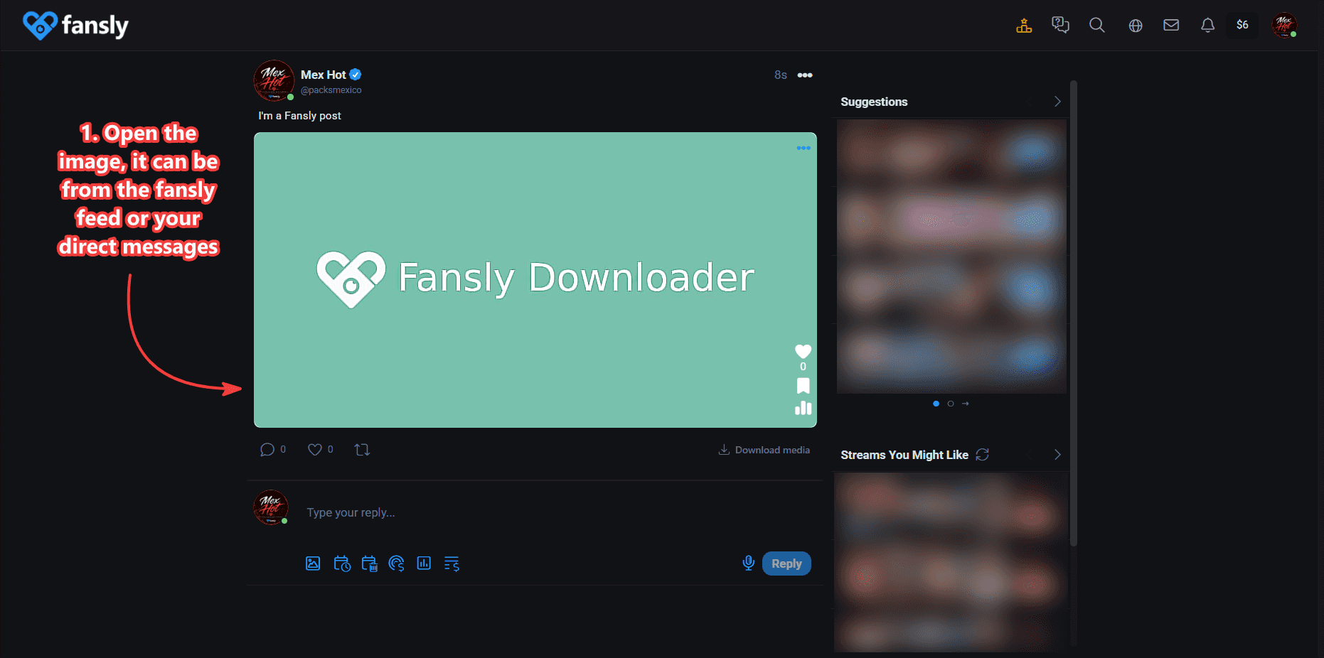 Fansly photo opened from the feed or a direct message