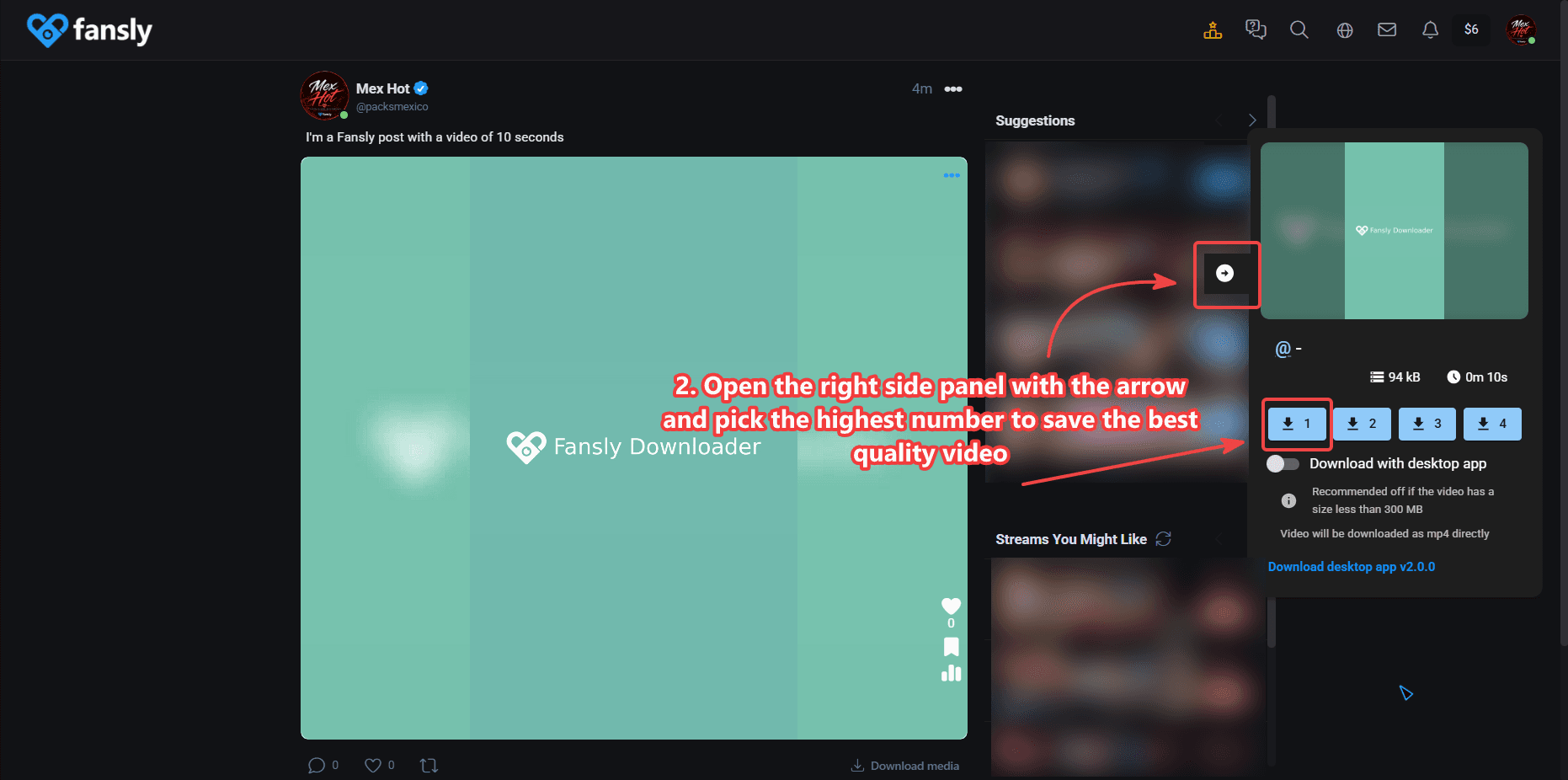Fansly Downloader side panel with 4K and other video quality options